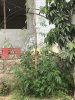 7778D189-E0F9-4533-AE02-5BA042566D05.jpeg