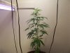 100_1391.jpg