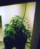 11.20.07-Decent005.jpg