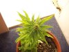 100_0413.jpg