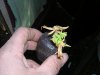 DSCN0857.jpg