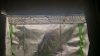 20180304_141037_HDR.jpg