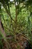 DSC_0336E.JPG