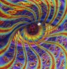 22046619_1474027375966149_6137356823107330948_n.jpg