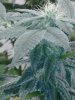 20180305_080402.jpg