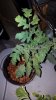 20180309_234602.jpg