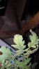 20180309_234612.jpg