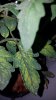 20180309_234616.jpg