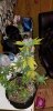 20180310_124734.jpg
