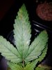 20180312_174713.jpg