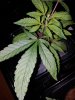 20180312_174604.jpg