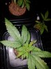 20180312_174600.jpg
