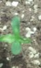 20180314_090837.jpg