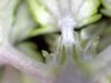 S20180314_0001.jpg