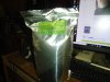DSC00036.JPG