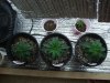 2009_0405Me0012.jpg