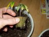 100_0092.jpg
