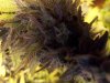 100_1006.jpg