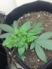 20180325_090738.jpg