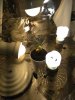 IMG_20180326_093900.jpg