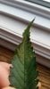 20180402_191244.jpg