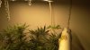 IMG_20180403_161825 - Copy.jpg