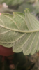 Screenshot_2018-04-03-21-58-46.png