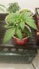 20180404_113021.jpg