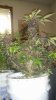 20160514_180959.jpg
