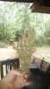 20160611_012952.jpg