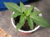 20180405_080659.jpg