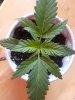 20180405_081150.jpg