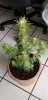 20180405_084411.jpg