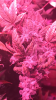 DFAE3E89-1EA3-43DC-AACA-3456BB421011.png