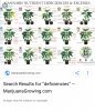 Screenshot_20180321-105234.jpg