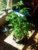 20180226_131811.jpg