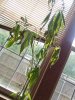 20180406_164240.jpg 20180406_164240.jpg