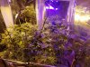 20180406_190142.jpg