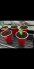 Screenshot_20180407-005849.png