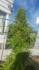 20180408_085429.jpg