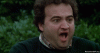 giphy (1).gif