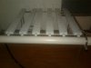 grow light 1.jpg