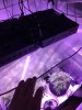 0093675E-C1D4-43E1-BA47-AA07F8E8A4B2.jpeg