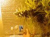 DSC03745.jpg