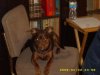 Picture 009.jpg
