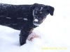 snowy fun.jpg