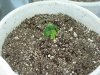 100_0104.jpg