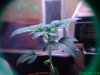 DSC00576.jpg