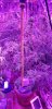 20180411_094600.jpg