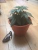 image1.jpeg